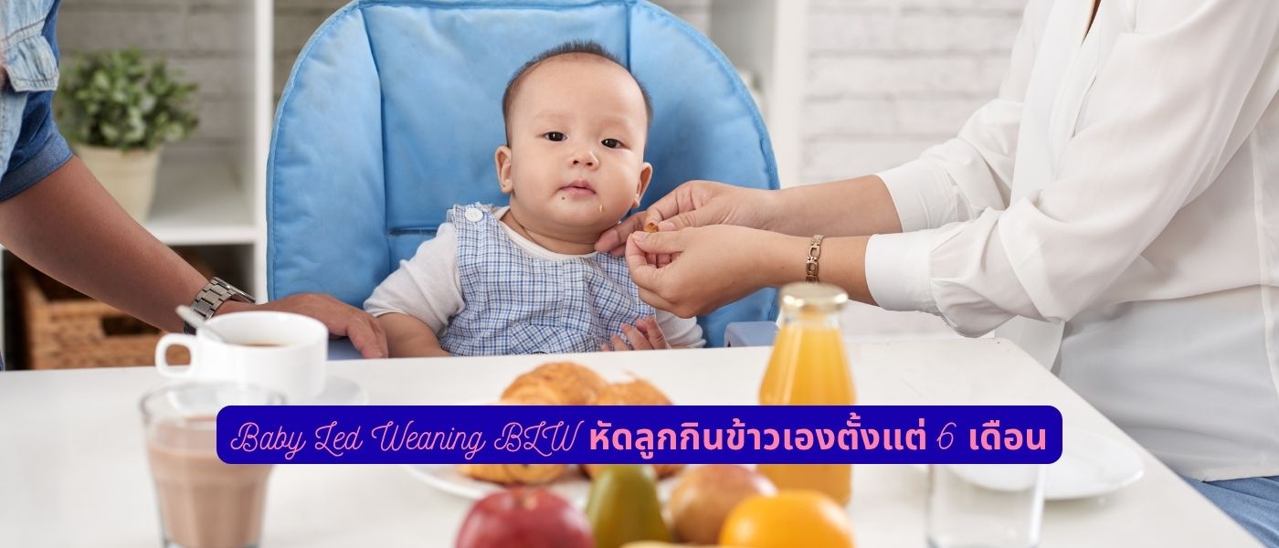 Baby Led Weaning BLW หัดลูกกินข้าวเองตั้งแต่ 6 เดือน